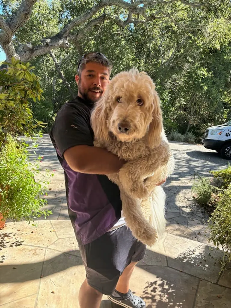 Steff - Professional Dog Groomer